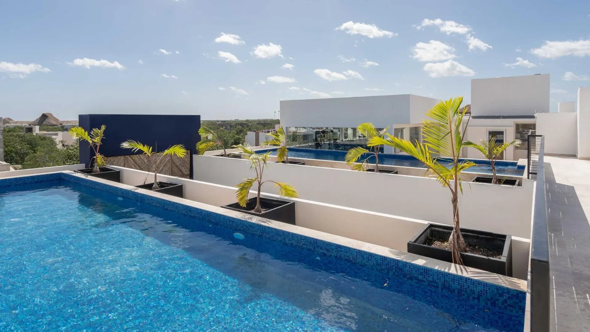 Appartamento Penthouse Suite With Private Plunge Pool Tulum